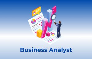 Business Analyst