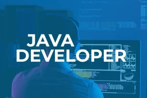 Java Developer